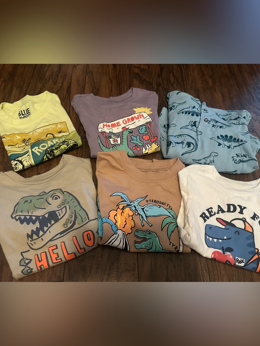 Kids Dinosaur shirt bundle